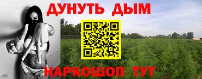 ГАЛЛЮЦИНОГЕННЫЕ ГРИБЫ Тара