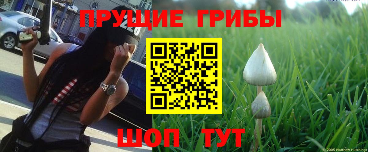 Галлюциногенные грибы ЛСД  Вход с VPN  как найти   Мыски 